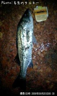 �����Х�