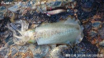 �����ꥤ��