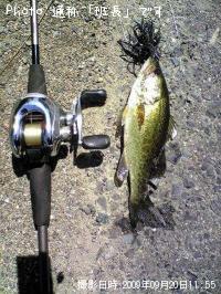 ¥Ö¥é¥Ã¥¯¥Ð¥¹