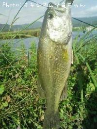 ¥Ö¥é¥Ã¥¯¥Ð¥¹