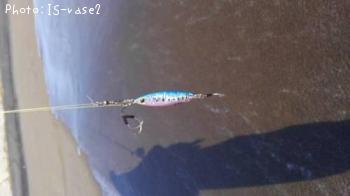 ZetZ スローブラッドキャストワイド