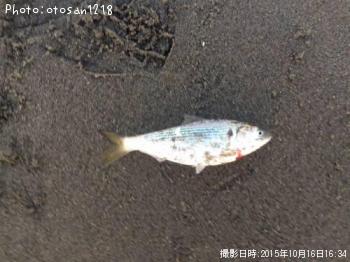 ���Υ���