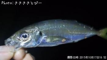 ��������Х�