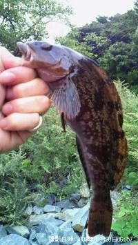 �����ʥ�