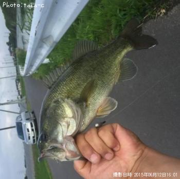 ¥Ö¥é¥Ã¥¯¥Ð¥¹