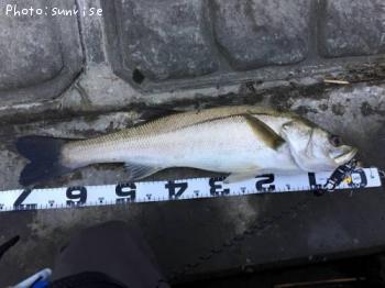 �����Х�