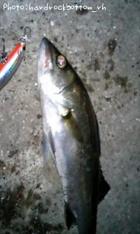 �����Х�