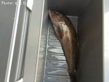 �����ʥ�