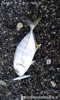 ¥¨¥Ð¡Ê¥á¥Ã¥¡Ë