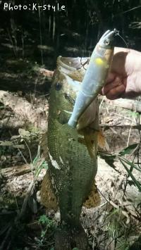 ¥Ö¥é¥Ã¥¯¥Ð¥¹¡¡