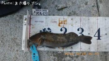 �����ʥ�