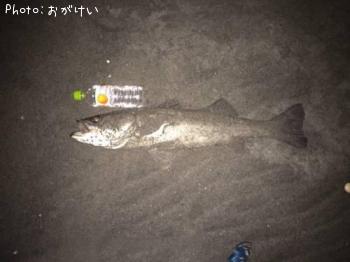 �����Х�