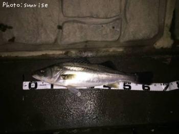 �����Х�