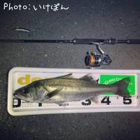 �����Х�