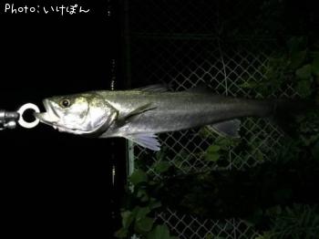 �����Х�