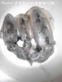 �����ꥤ��