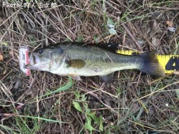 ¥Ö¥é¥Ã¥¯¥Ð¥¹