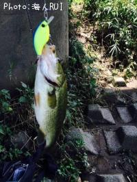 ¥Ö¥é¥Ã¥¯¥Ð¥¹