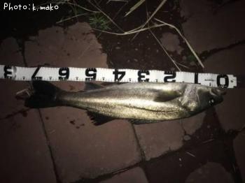 �����Х�