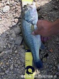 �֥�å��Х�