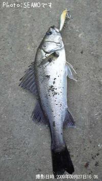 �����Х�