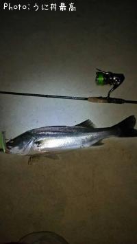 �����Х�