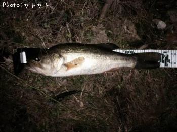 �֥�å��Х�