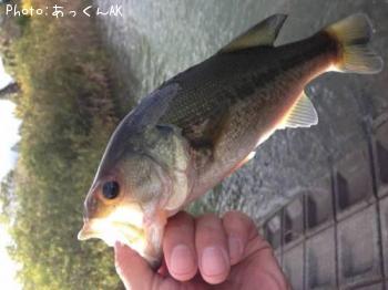 �֥�å��Х�