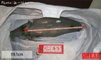 �����ꥤ��