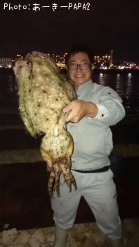 ���֥��ߡ����֥���