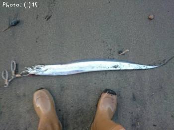 ³¤¥¶¥ê¡õÂÀÅáµû