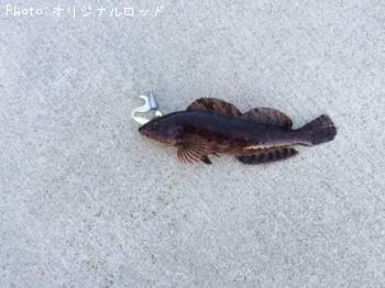 �����ʥ�