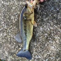 ¥Ö¥é¥Ã¥¯¥Ð¥¹