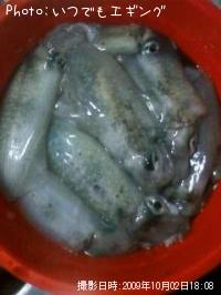 ¥¢¥ª¥ê¥¤¥«