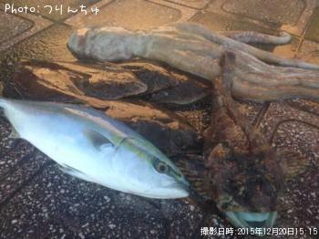 ¥«¥ì¥¤¤È¥¿¥³¤È¥¤¥Ê¥À¤È¥Ü¥Ã¥±