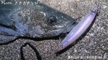 �����ե����Х�