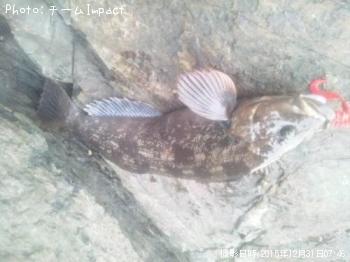 �����ʥ�