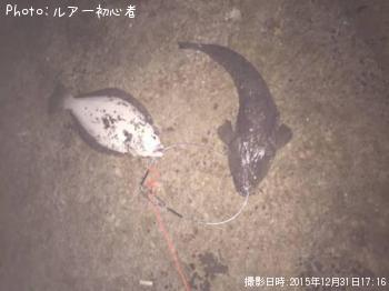 �ҥ�ᡡ�ޥ���