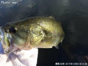 ¥Ö¥é¥Ã¥¯¥Ð¥¹