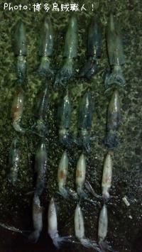 ¥±¥ó¥µ¥¥¤¥«