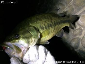 ¥Ö¥é¥Ã¥¯¥Ð¥¹