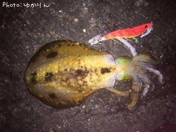 �����ꥤ��