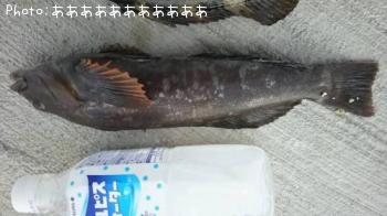 �����ʥ�