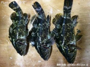 ¥¿¥±¥Î¥³¥á¥Ð¥ë