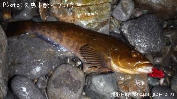 �����ʥ�