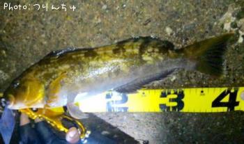 �����ʥ�