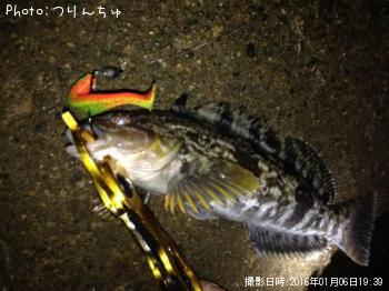 �����ʥ�