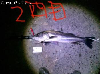 �����Х�