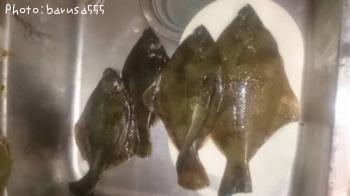 ¥«¥ì¥¤¤È¥Ï¥¼