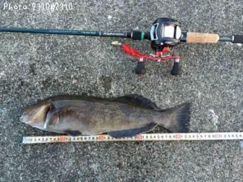 �����ʥ�